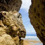 yogifish ocean swim yoga retreat nuie pacific islands kaye mueller