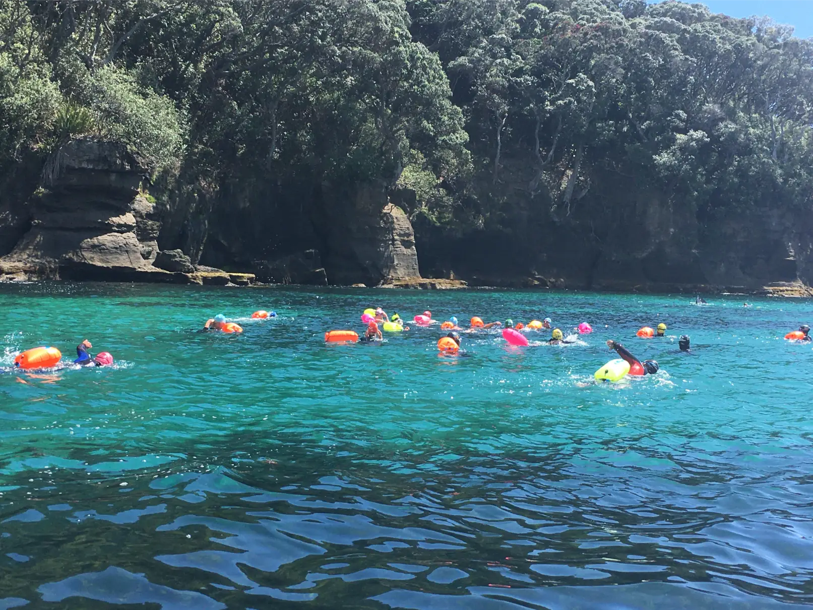 yogifish around goat island swim event auckland north island kaye meuller