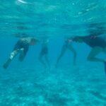 94e571a7-2843-4e84-b345-dc5ad3c8e465